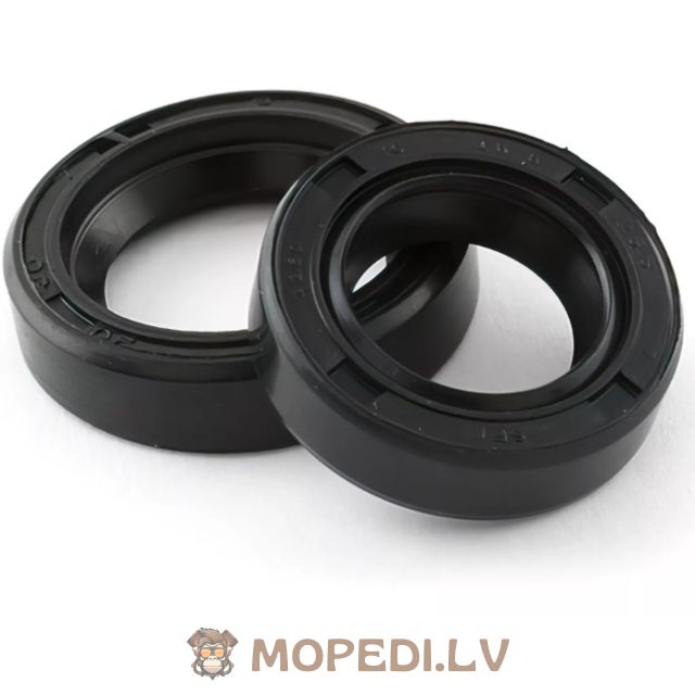 Oil Seals for crankshaft Piaggio