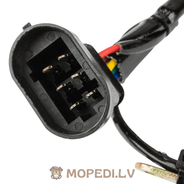 Ignition Stator Piaggio after 1999