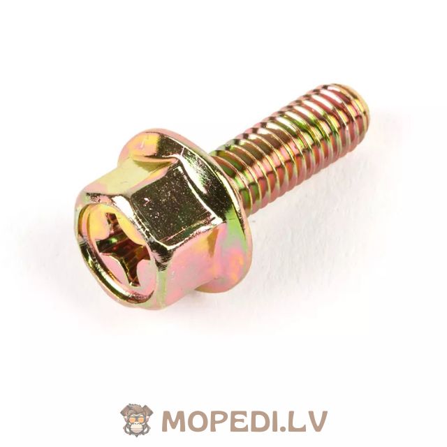 Exhaust Screw M6x18mm (1x)