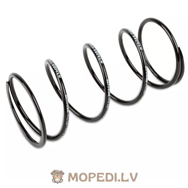 CVT Variator Stage6 Sport Pro Minarelli