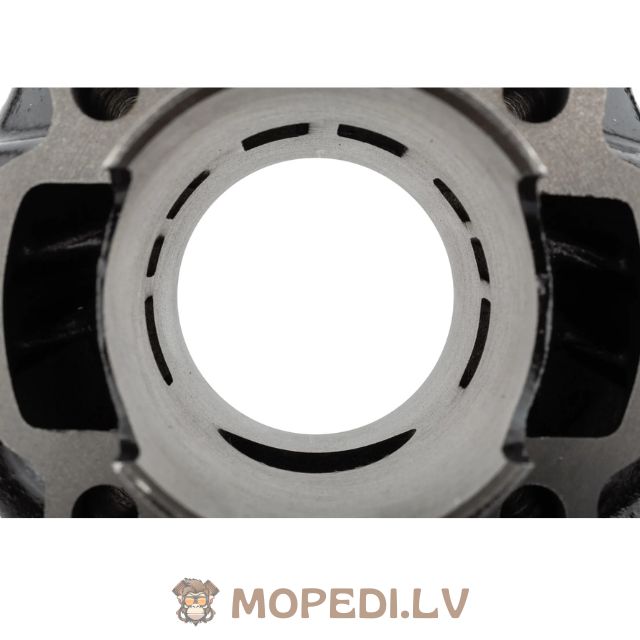 DR Evolution 70cc cast iron Minarelli LC