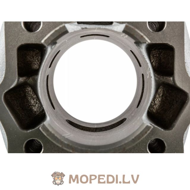 Airsal 70cc cast iron Derbi Euro 3