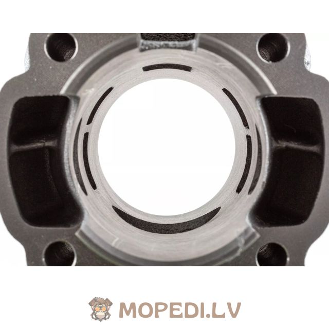 Airsal Sport 70cc cast iron Minarelli AM6