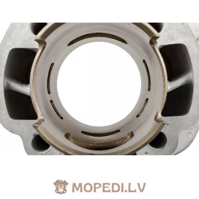 Airsal Sport 70cc aluminium Minarelli vertical