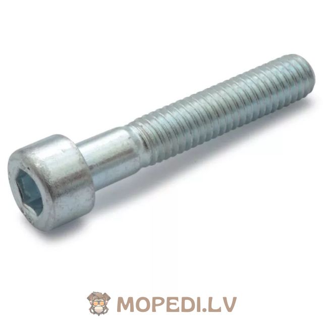 Screw Set CVT cover galvanized steel Minarelli