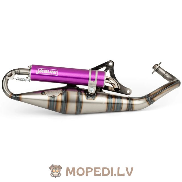 Yasuni R-Pro Piaggio Purple