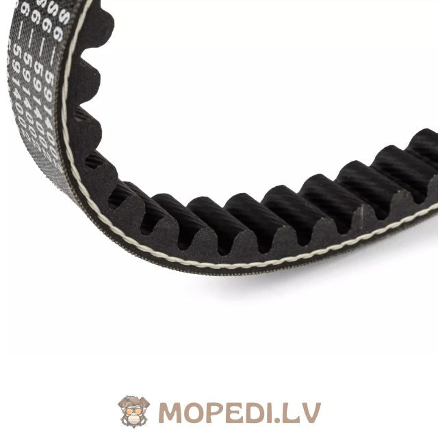 Drive Belt Stage6 Pro Belt Piaggio after 1998 short