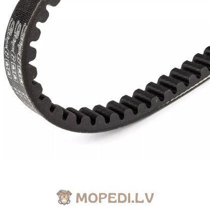 Stage6 Pro Belt Piaggio new long