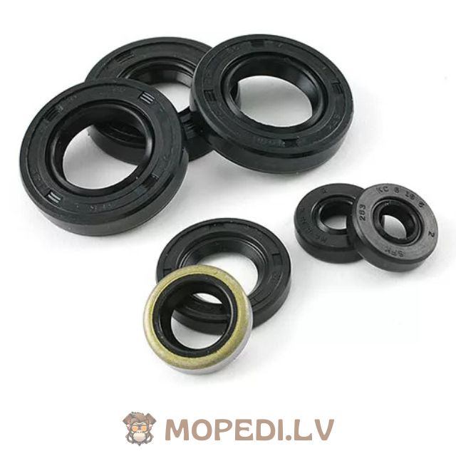 Oil Seal Set Derbi Euro 3 (D50B0)