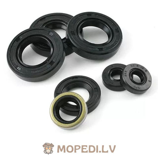 Oil Seal Set Derbi Euro 3 (D50B0)