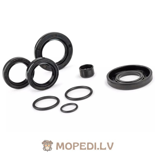 Oil Seal Set Piaggio