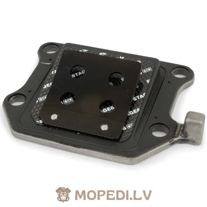 Reed Valve Stage6 MK2 Viton Minarelli vertical