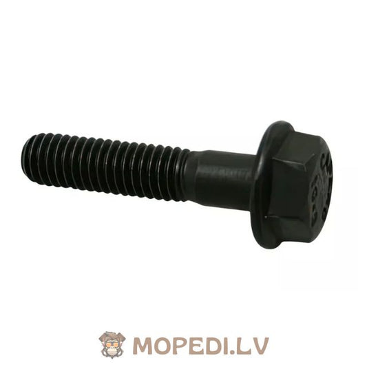 Screw brake lever Piaggio
