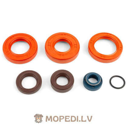Oil Seal Kit engine Stage6 AM6