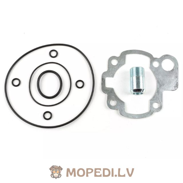 Airsal Sport 70cc cast iron Minarelli AM6