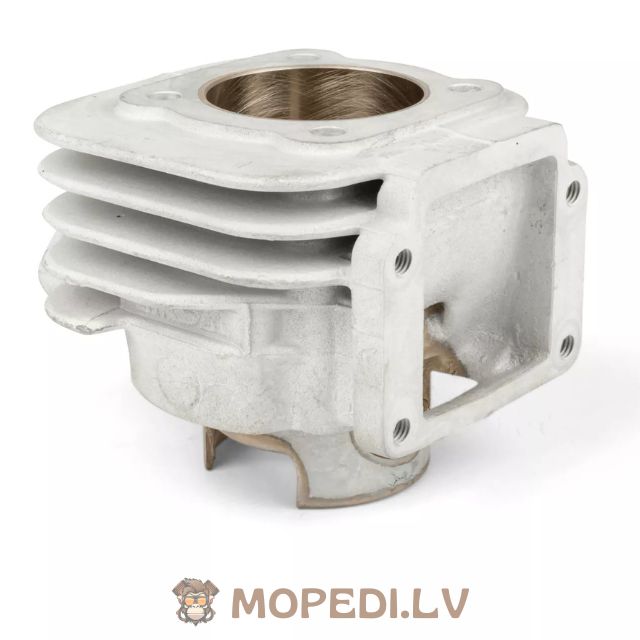 Airsal Sport 70cc aluminium Minarelli vertical