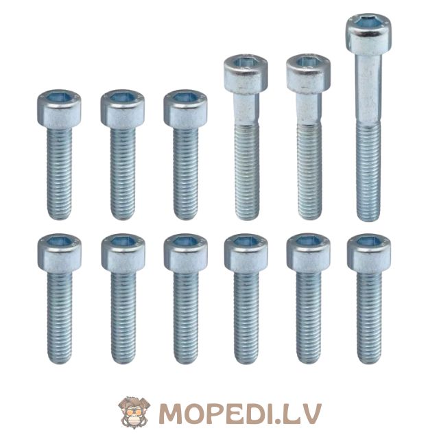 Screw Set CVT cover galvanized steel Minarelli