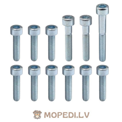 Screw Set CVT cover galvanized steel Minarelli