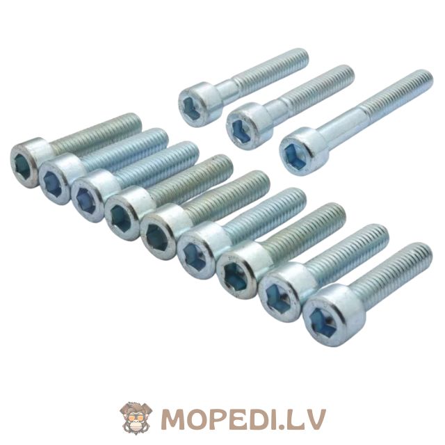 Screw Set CVT cover galvanized steel Minarelli
