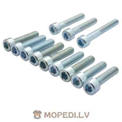 Screw Set CVT cover galvanized steel Minarelli
