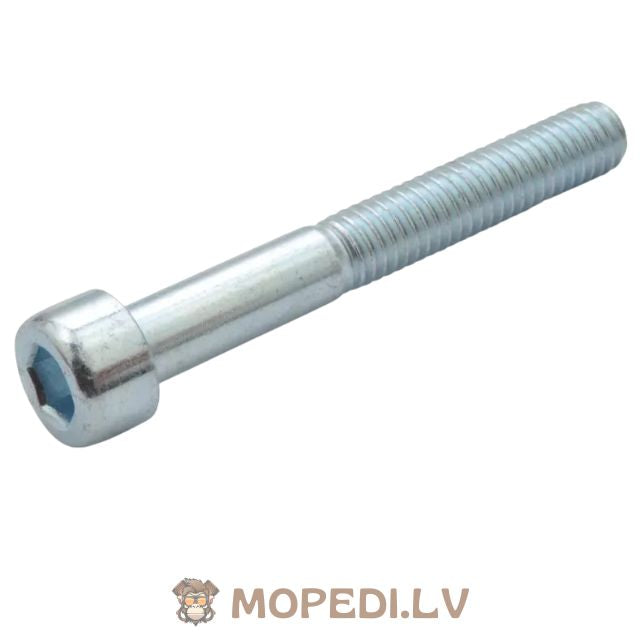 Screw Set CVT cover galvanized steel Minarelli