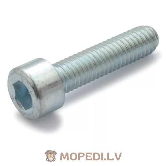 Screw Set CVT cover galvanized steel Minarelli