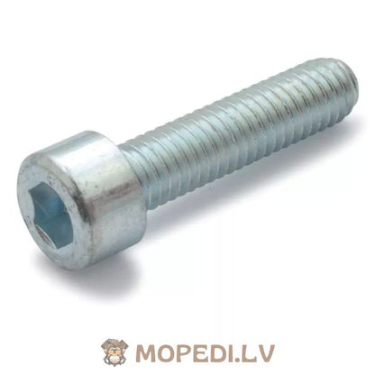 Screw Set CVT cover galvanized steel Minarelli