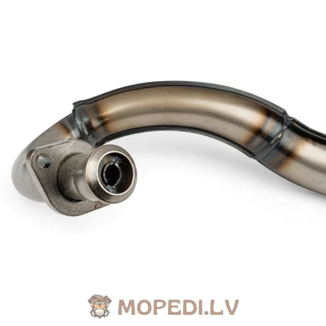 Yasuni Z (Black) Piaggio