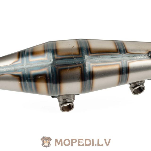 Yasuni Z (Black) Piaggio