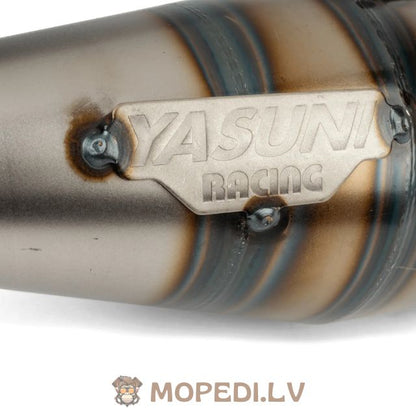 Yasuni R-Pro Piaggio Purple