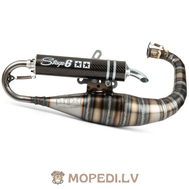 Exhaust Stage6 R1400 Minarelli vertical