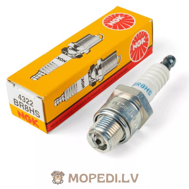 Spark Plug NGK BR8HS (4322)